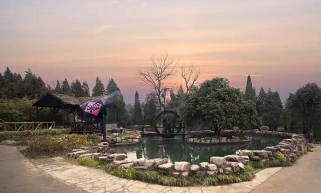 零下9℃的上海，你要怎么过？这20家不同价位的泡汤地来拯救怕冷的你...