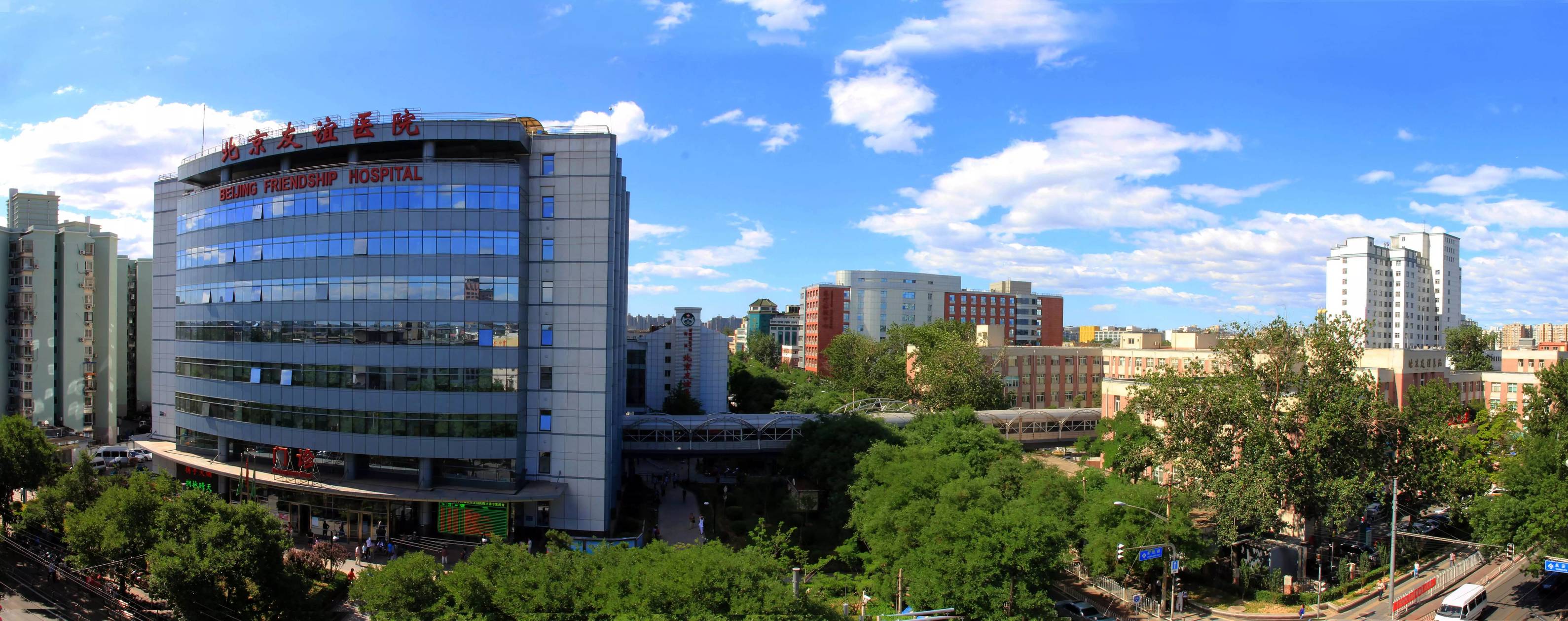 过敏真相科普,友谊科普知识大全