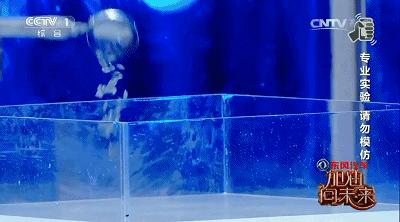 加油！向未来丨天啊！原来你们都是这样的元素