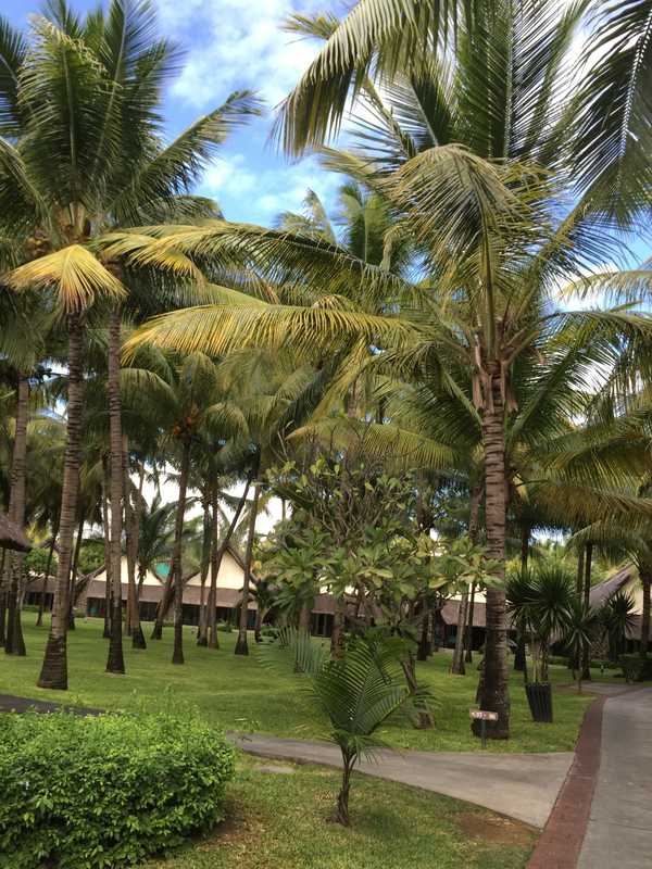 七彩世界毛里求斯游记,人间天堂的花园毛里求斯