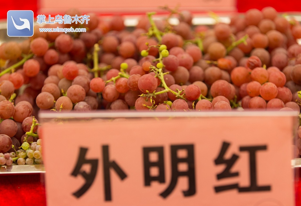 自带花香味的葡萄你吃过吗,吃葡萄不吐葡萄皮的葡萄怎么挑