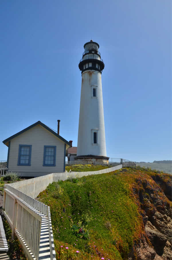 美西自驾6日游,美西10天自驾