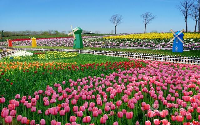芜湖大浦乡村旅游票价,芜湖大浦乡村世界攻略