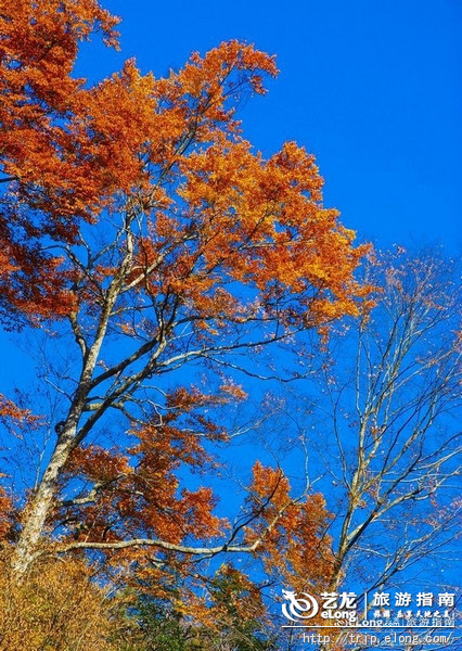 秋天来了该好好生活,秋天来了又该准备秋装了