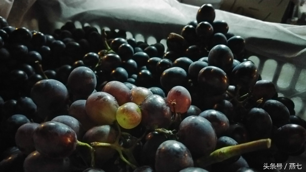 中兴天机7最新系统版本,中兴天机7手机