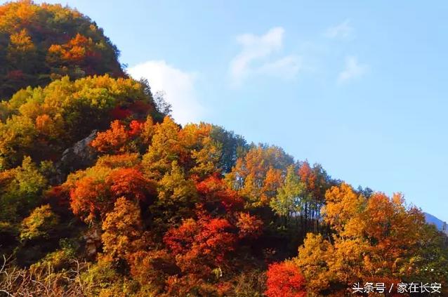 西安长安区关中环线游玩,西安旅游攻略长安区