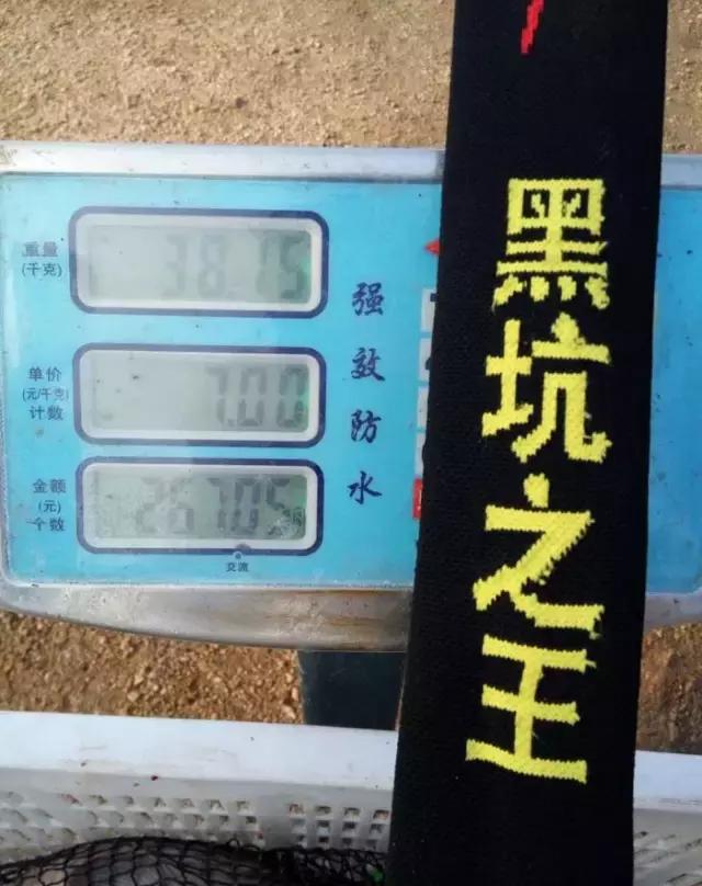 《渔获战报》黑坑之王在此，江湖没有之一