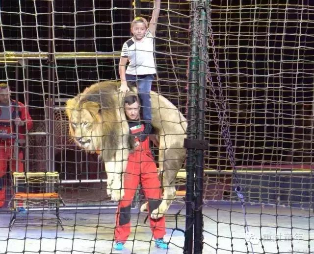 珠海长隆套票如何购买,珠海长隆官方优惠套票