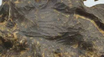 沉香线香术语与品评,关于沉香的100种术语