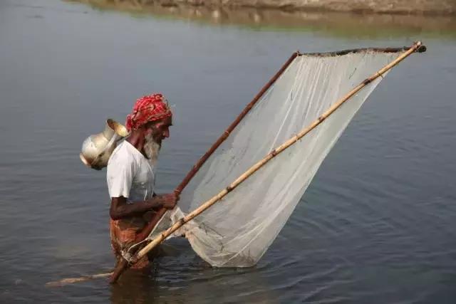 孟加拉国送花篮,孟加拉国朗布尔专区