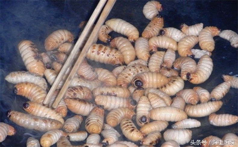 蛆虫吃法大全,肥肥的黑猪肉怎么吃