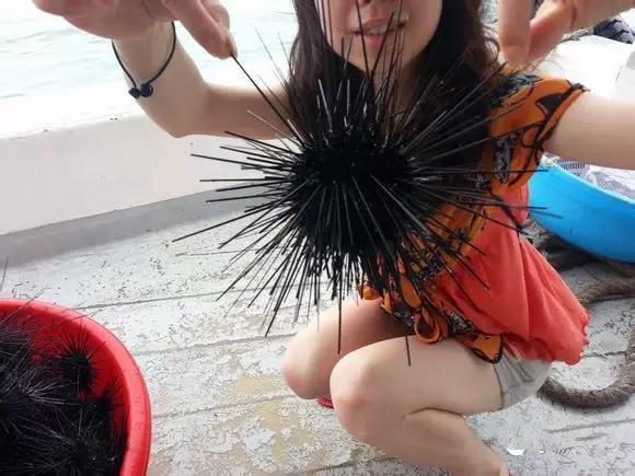 象山石浦渔港古城开渔节,开渔节暨海鲜美食文化旅游节