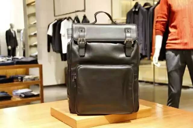 高颜值轻奢双肩包电脑背包 (时尚电脑双肩包)