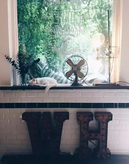 武汉黄陂区旅游景点美食,武汉地方特色美食和旅游景点