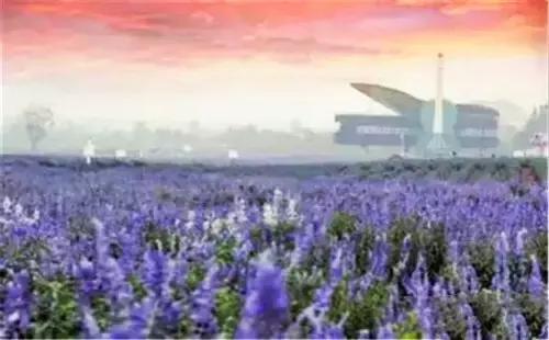 洛阳涧西区好玩的景点,洛阳郑州好玩的景点推荐