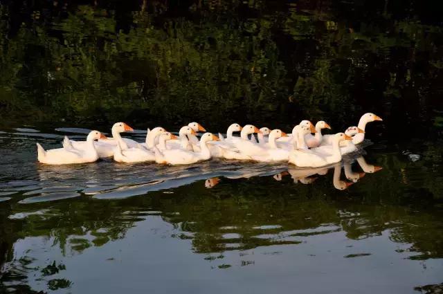 一封火爆全网的辞职信,一封辞职信的心声
