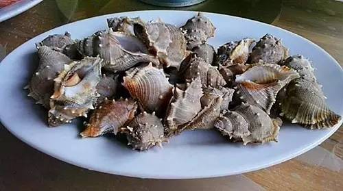 外伶仃岛岸边钓点,外伶仃岛钓鱿鱼钓点