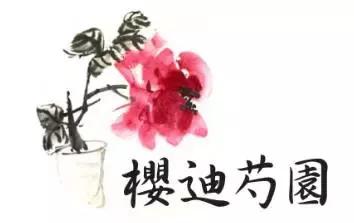 奥克兰移民前景,移民奥克兰费用多少