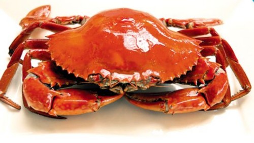 冰箱里放了海鲜后有腥味怎么去除,吃完海鲜怎么去除寒凉