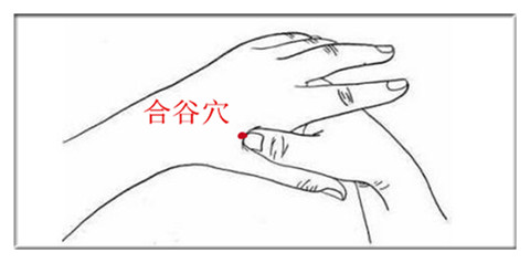 鼻炎鼻塞不通气按摩什么穴位,过敏性鼻炎按摩哪几个穴位最有效