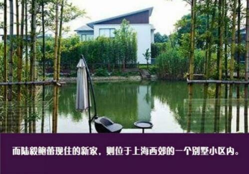 陆毅上亿豪宅内景视频,陆毅豪宅别墅曝光