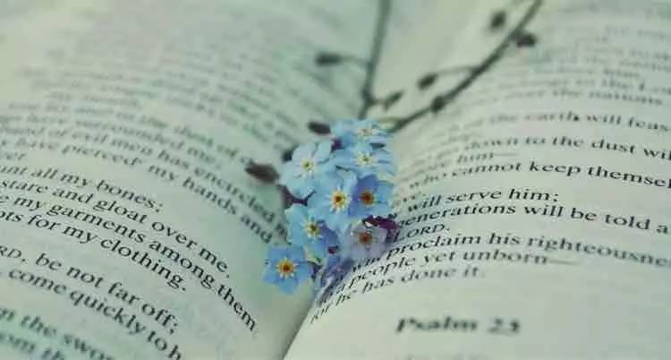 教师节快乐老师你辛苦了,教师节快乐老师您辛苦了