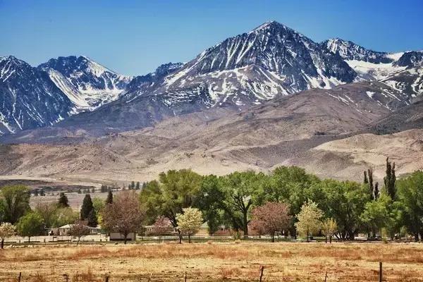 美国深泉学院怎么样,深泉学院的有趣和神奇之处