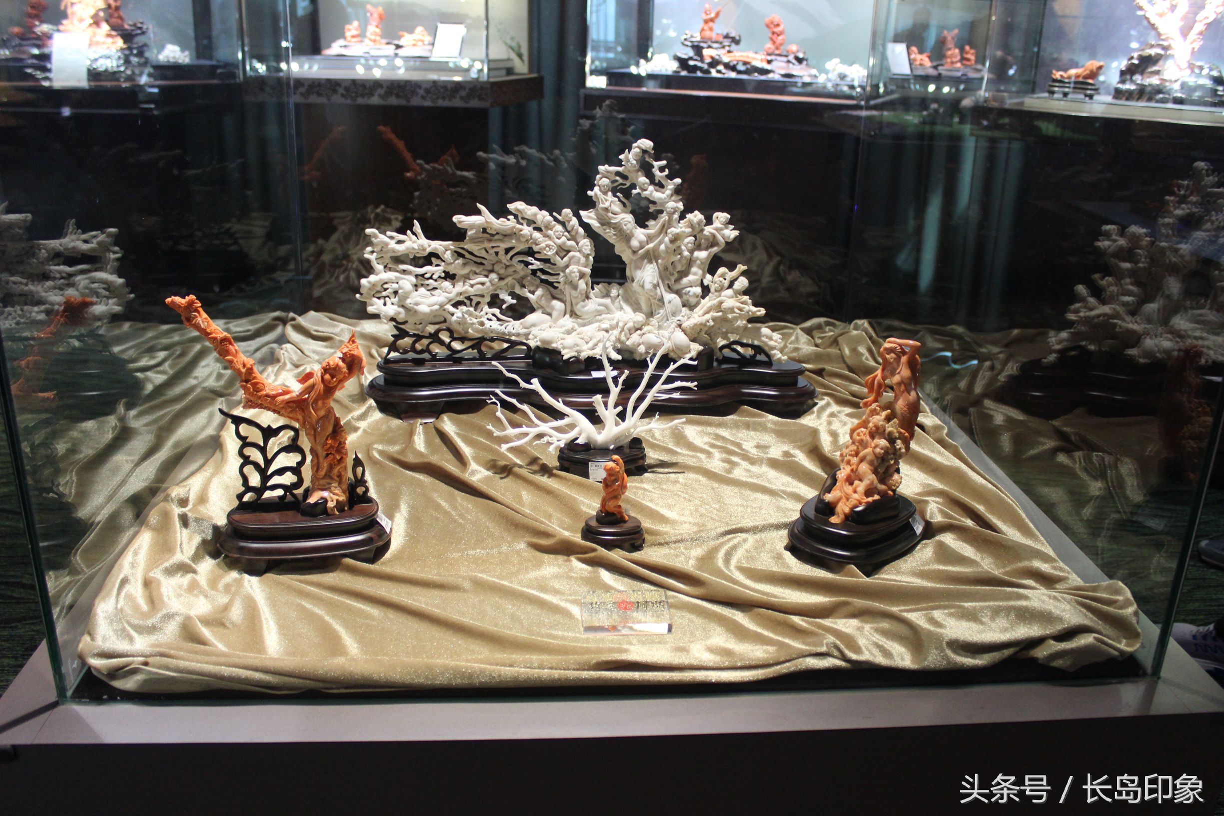 红珊瑚台湾寓意,台湾红珊瑚和日本红珊瑚的区别