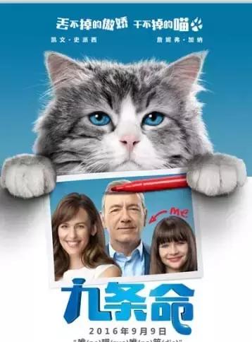 就让加菲毁掉你的中秋吧喵哈哈哈