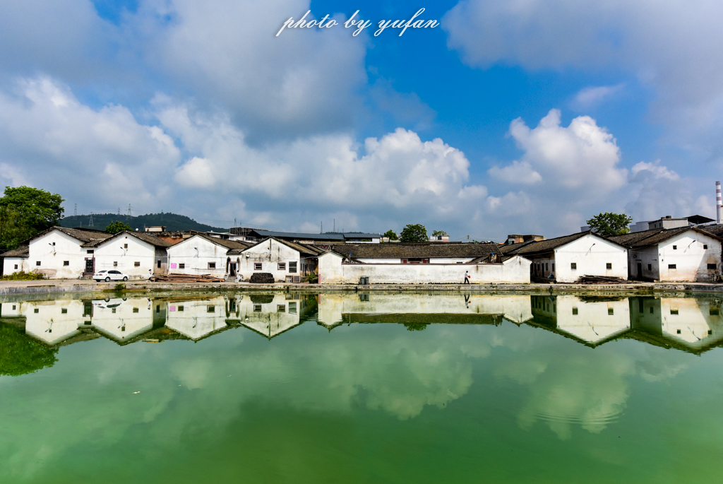 丝路奇迹:观围屋之典范,赏苏铁之传奇