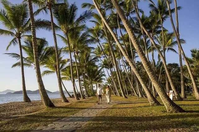 考拉、热气球和现实版的天空之城，这就是凯恩斯