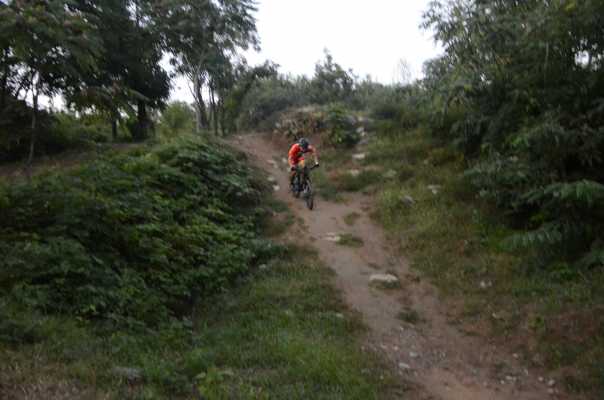 好骑的入门山地自行车测评,野兽自行车测评speedx