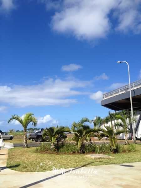 毛里求斯的日常,孤独的毛里求斯