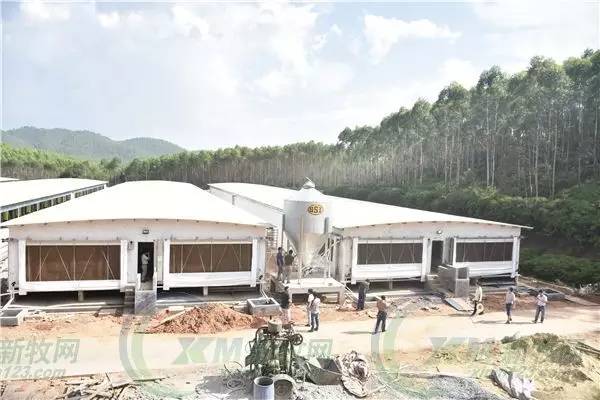 饲料企业养猪,饲料经销商转型养猪