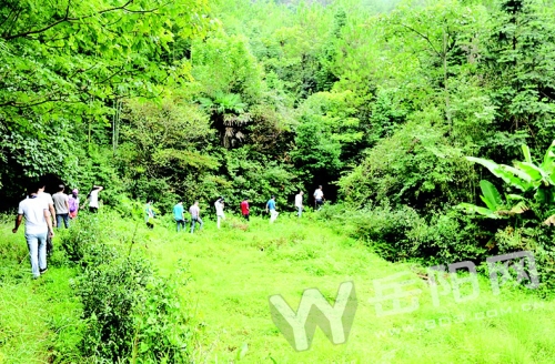 汨罗江的源头和终点在哪里,汨罗江源头