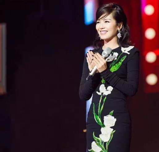 刘涛最新同款耳饰,刘涛耳环同款