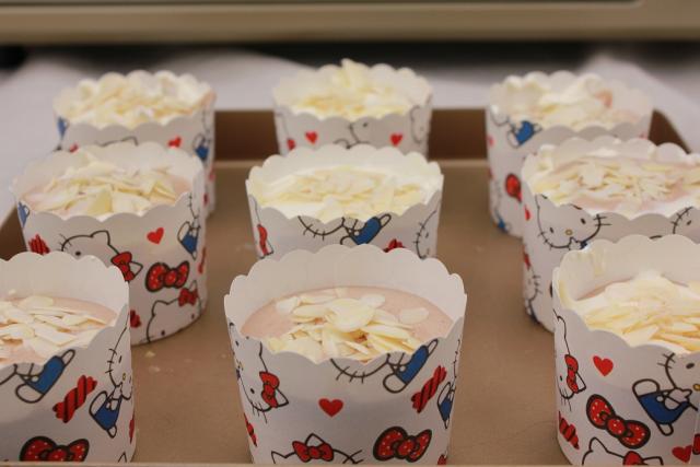 东菱老式烤箱12升怎么使用,东菱电烤箱610