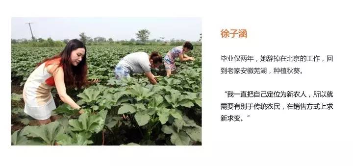 互联网创新创业ppt下载,互联网+创新创业项目ppt