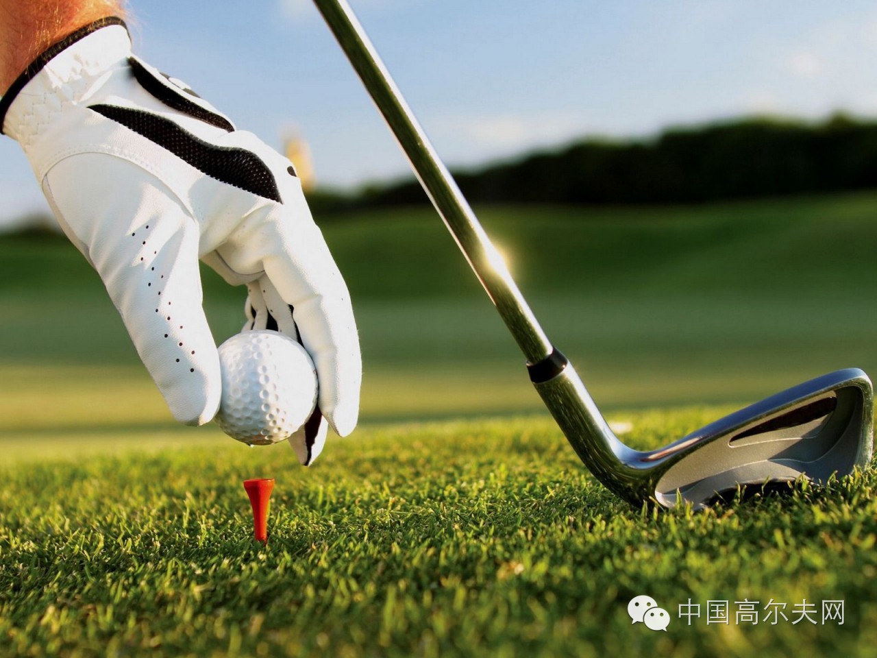 高尔夫球规则禁打区,高尔夫球犯规规则