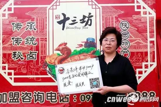 丹凤县经济社会发展亮点,丹凤县城发展