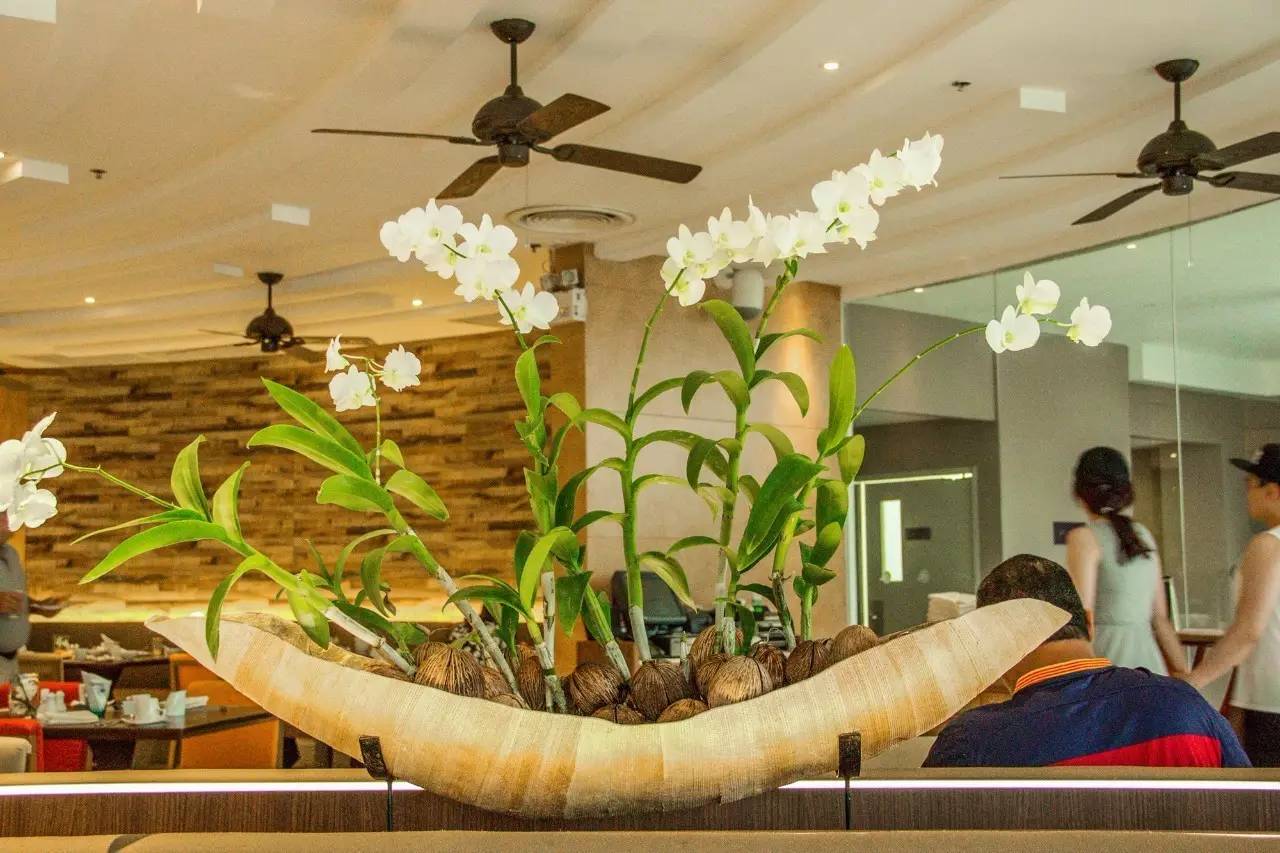 普吉岛美景公寓式酒店,普吉岛漂亮又实惠的酒店