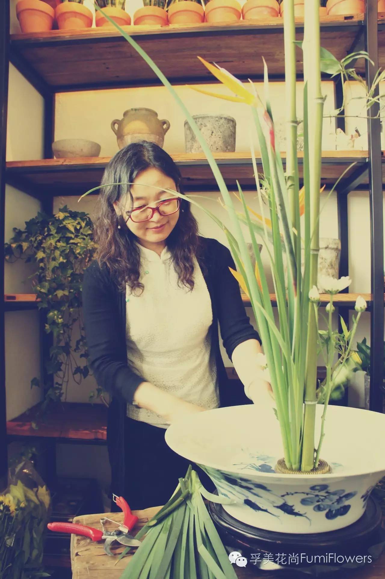 相约北平▏我们都是爱花的人