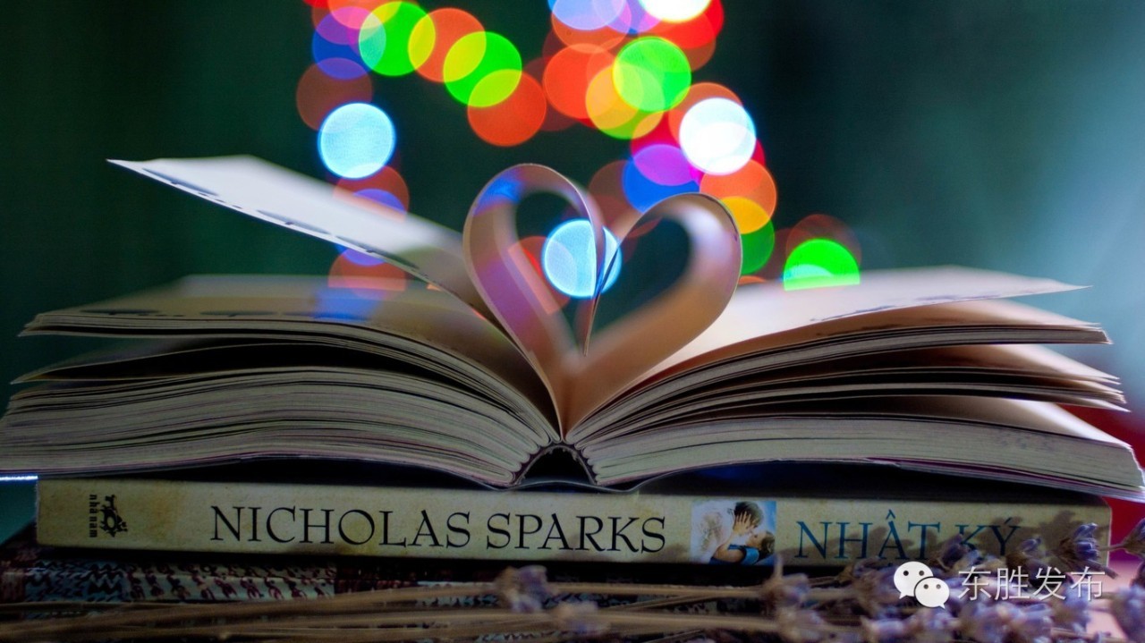 这么多东胜人会写书评，也许你会从中发现又一个“可好女女”