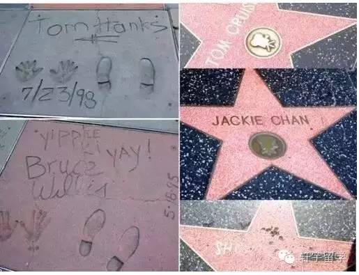 美景+购物黑色星期五遇上加州一号公路！完美旅程11月19日启程！一年一次！抓紧报名！