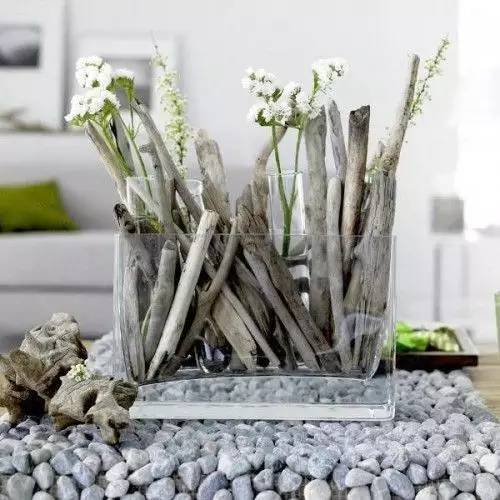 美爆了！台风过后，那些残根断枝竟然这么有用！赶紧学起来...