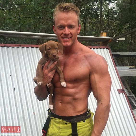 消防员和狗狗可爱瞬间,反差萌消防员