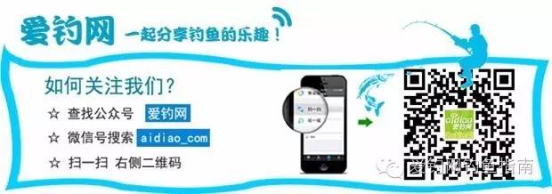 大师教你钓鱼之常用钓竿与调性,手竿钓大鱼控竿技巧