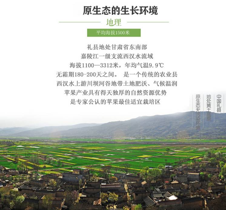 世界四个苹果,世界上有四种苹果