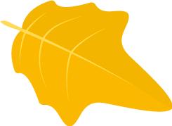 十大粉丝疯狂追星事件,网坛三巨头粉丝排行