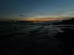 我亦飘零久全文阅读,我亦飘零久作者